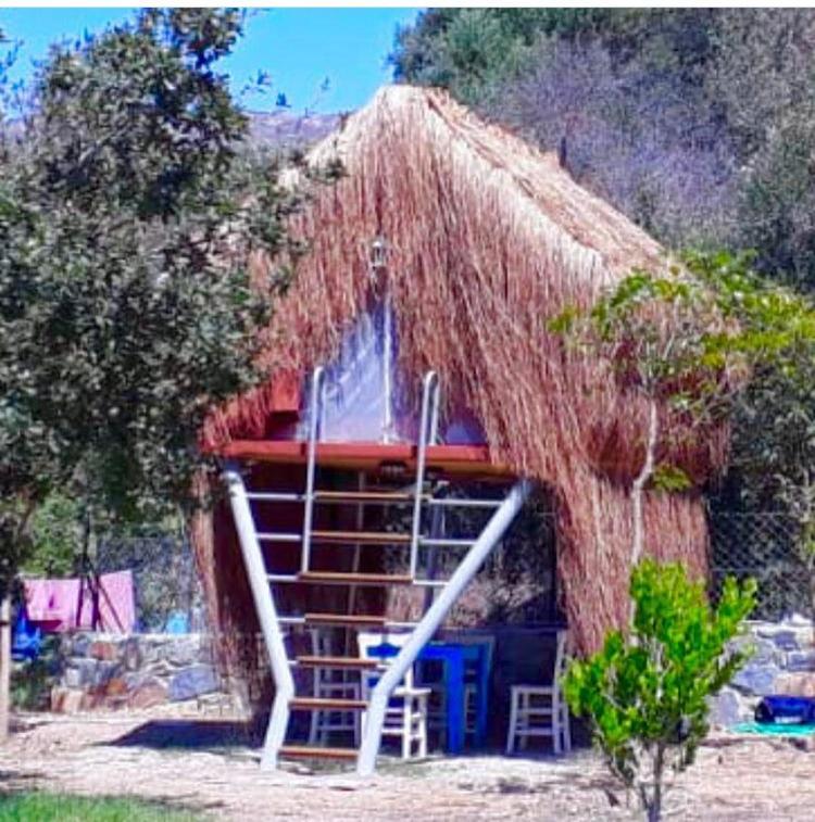 Bodrum Masali Camping Gumusluk Exterior photo